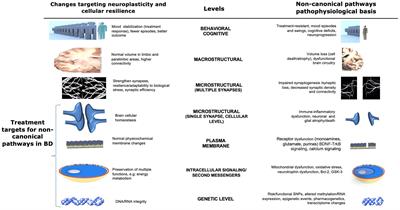 Non-canonical pathways in the pathophysiology and therapeutics of bipolar disorder
